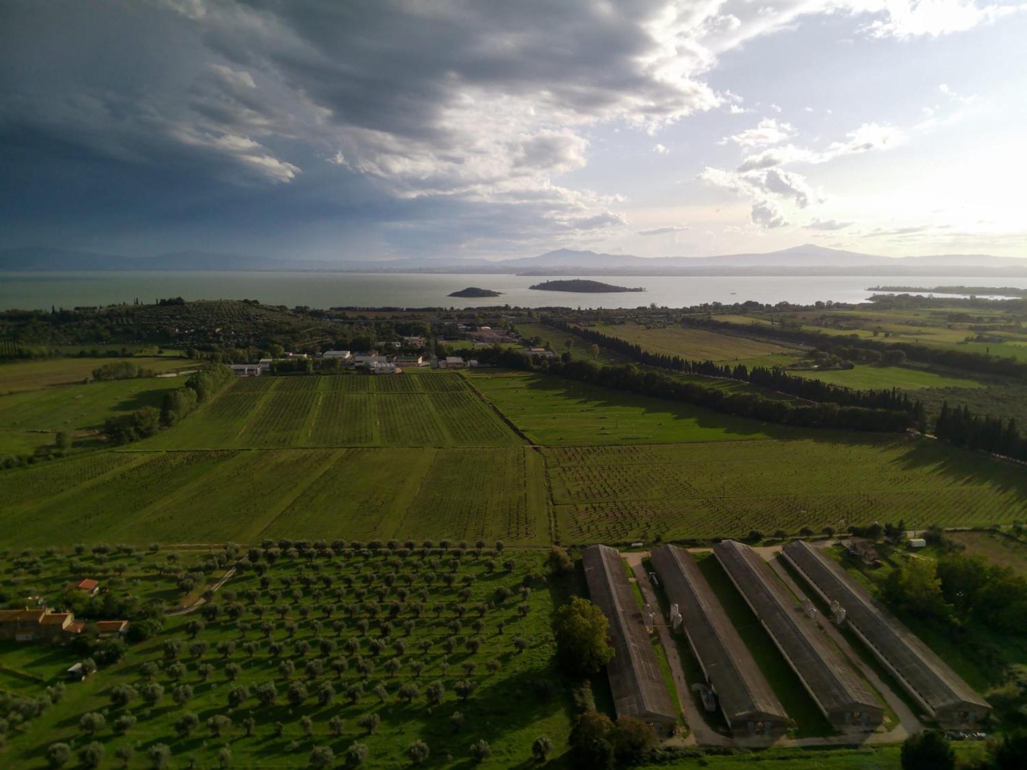 Tra Lago E Collina Passignano sul Trasimeno Exterior photo